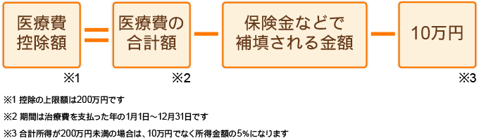 医療費控除額  医療費の合計額  保険金などで補填される金額  10万円